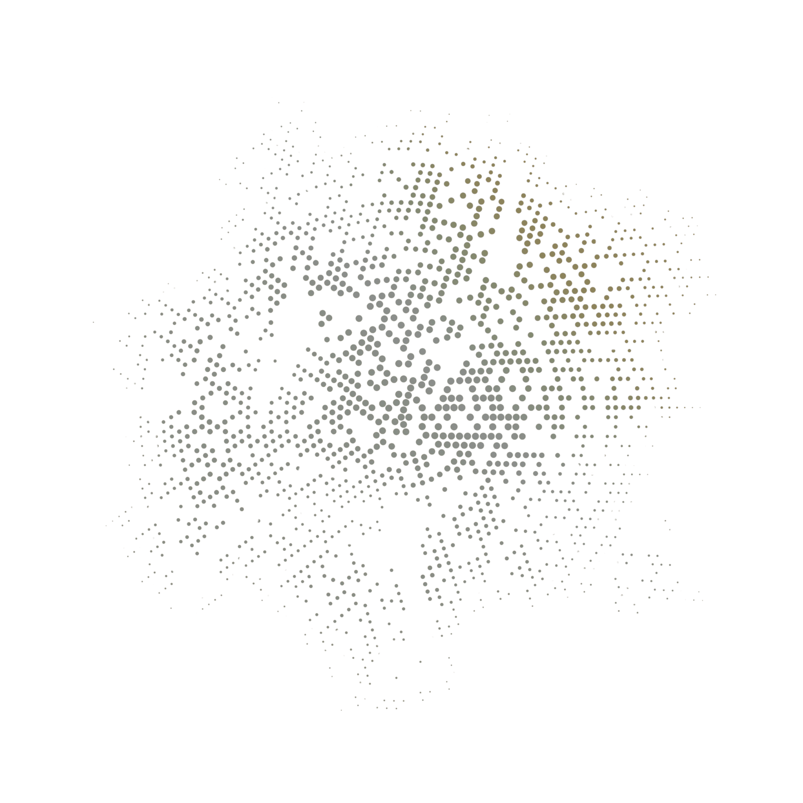 We-build-technology-that-works-today-and-scales-tomorrow